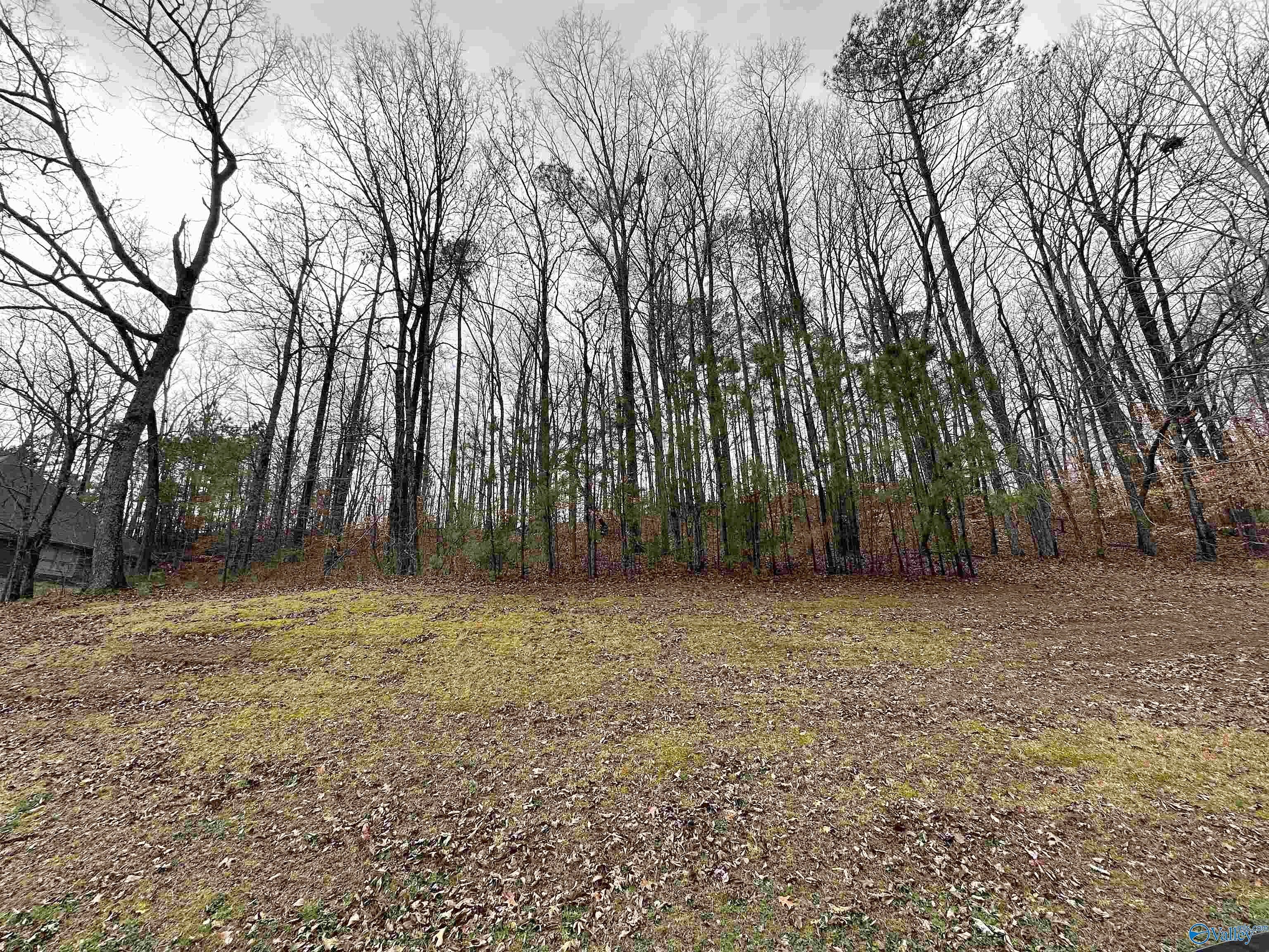 Lot 47 Seven Bark Dr  