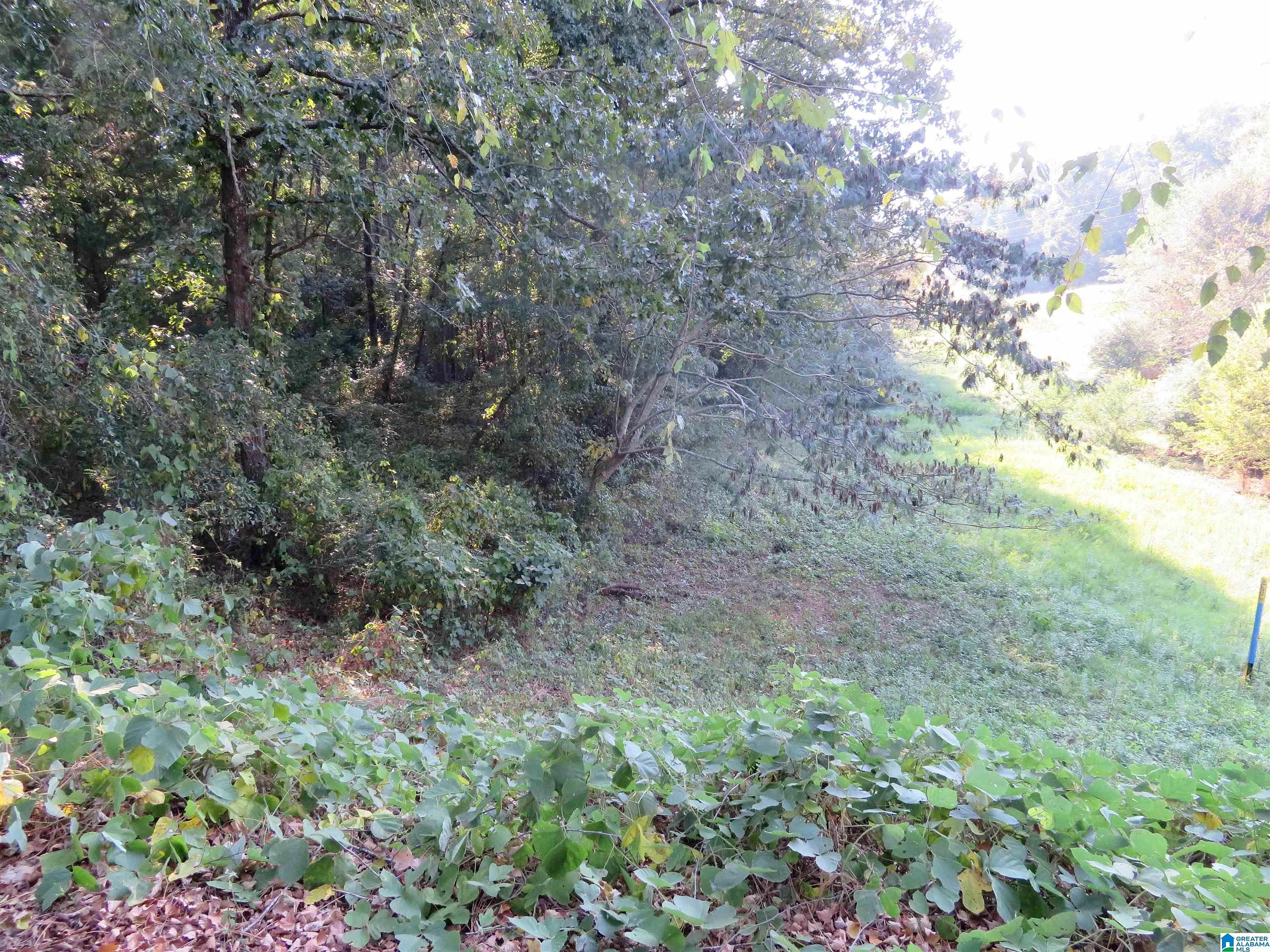 Lot 38 SAINT SIMONS Way Unit 38  