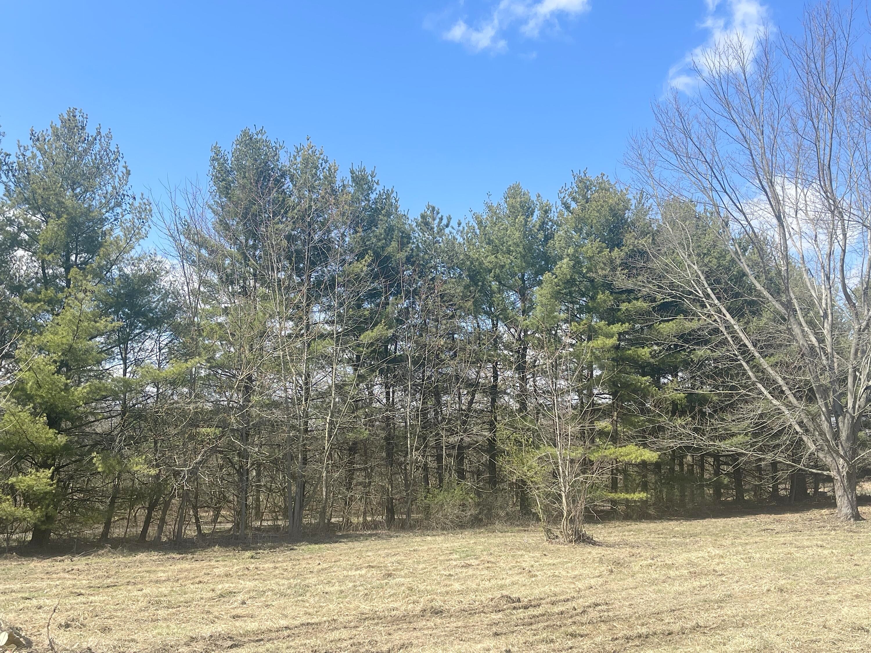 1344 SPORTSMAN Clb RD  