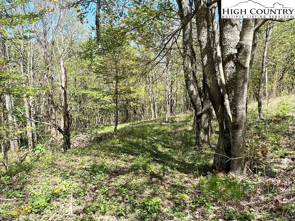 Lots C24 C33 Buffalo Nvno