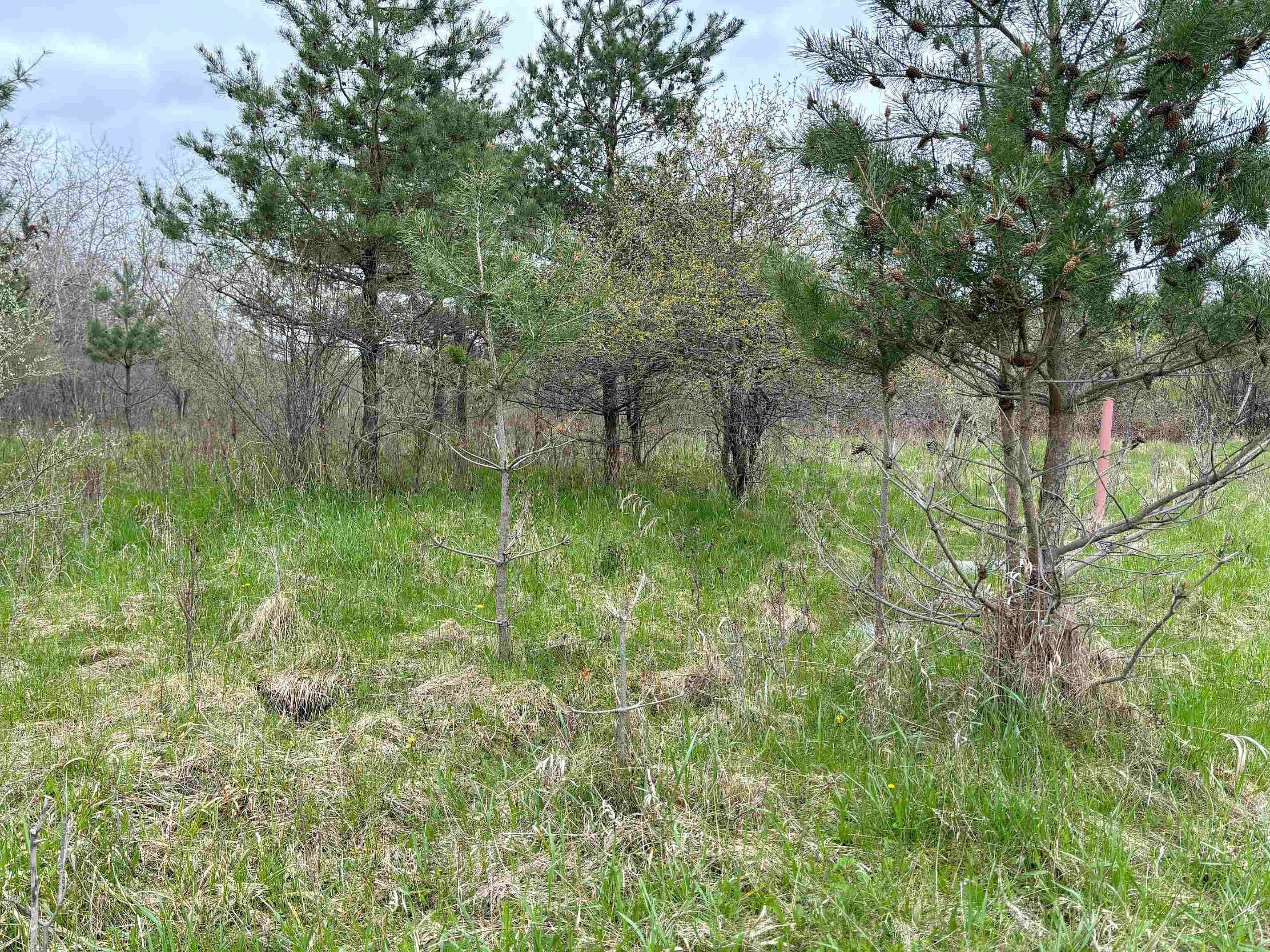 Lot 292 Track Iron Trl  