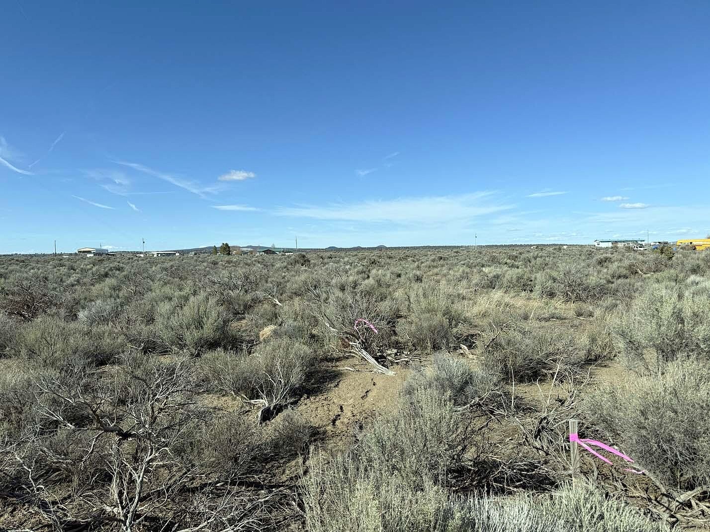 Winter Street Unit TL 8300  