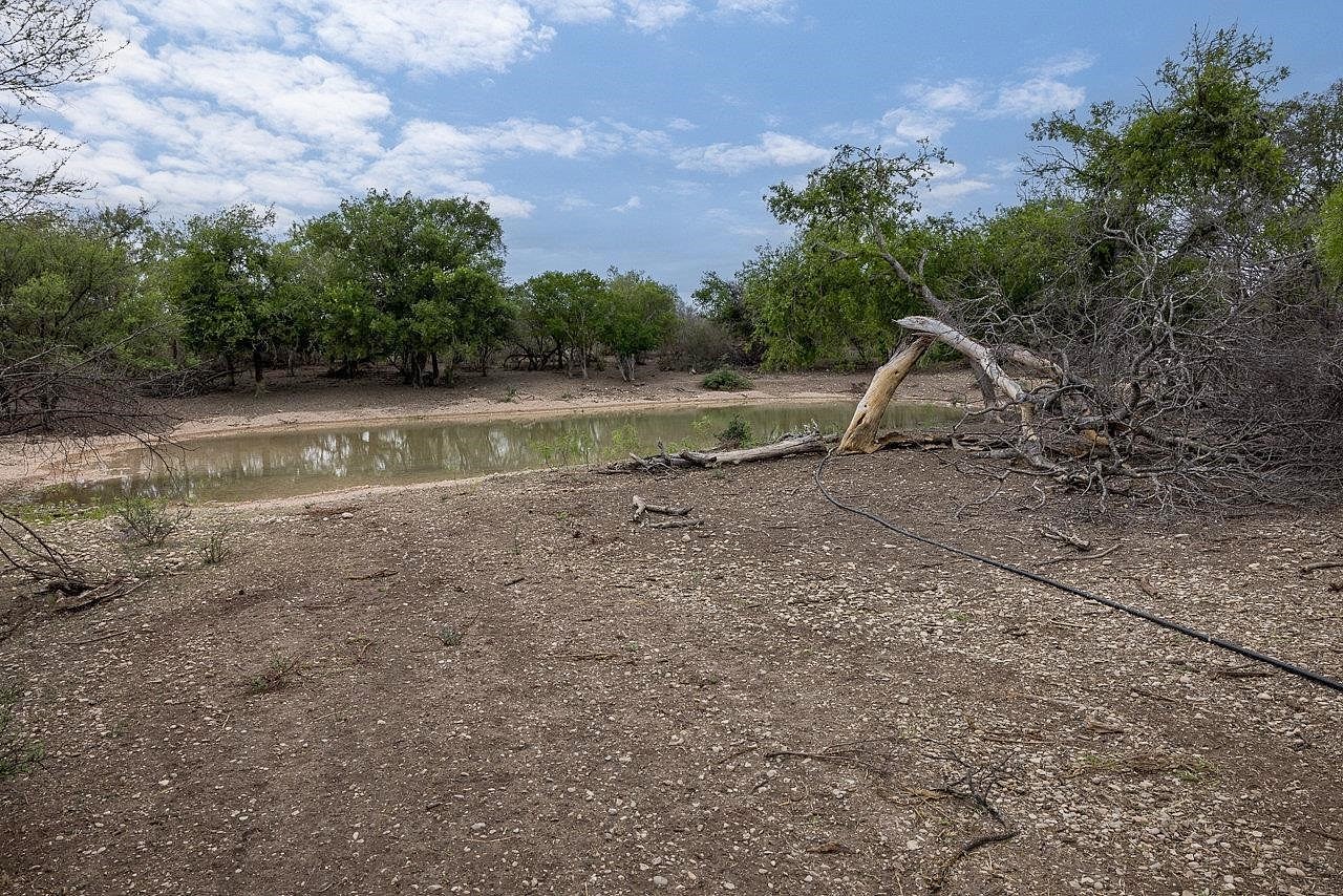 33 34 GINGER LEE Loop