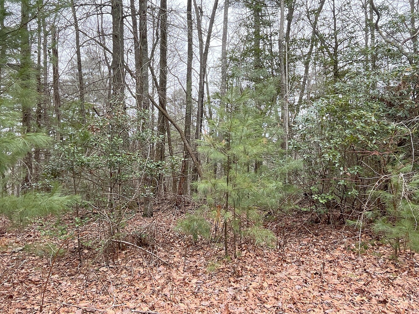 9999 Upper Whitewater Rd