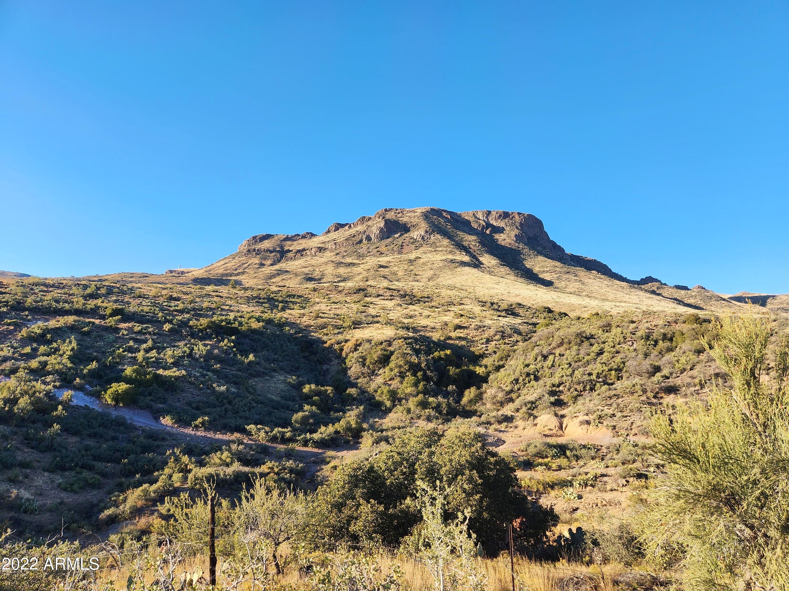 24251 S Placer Gold Ln Unit C  