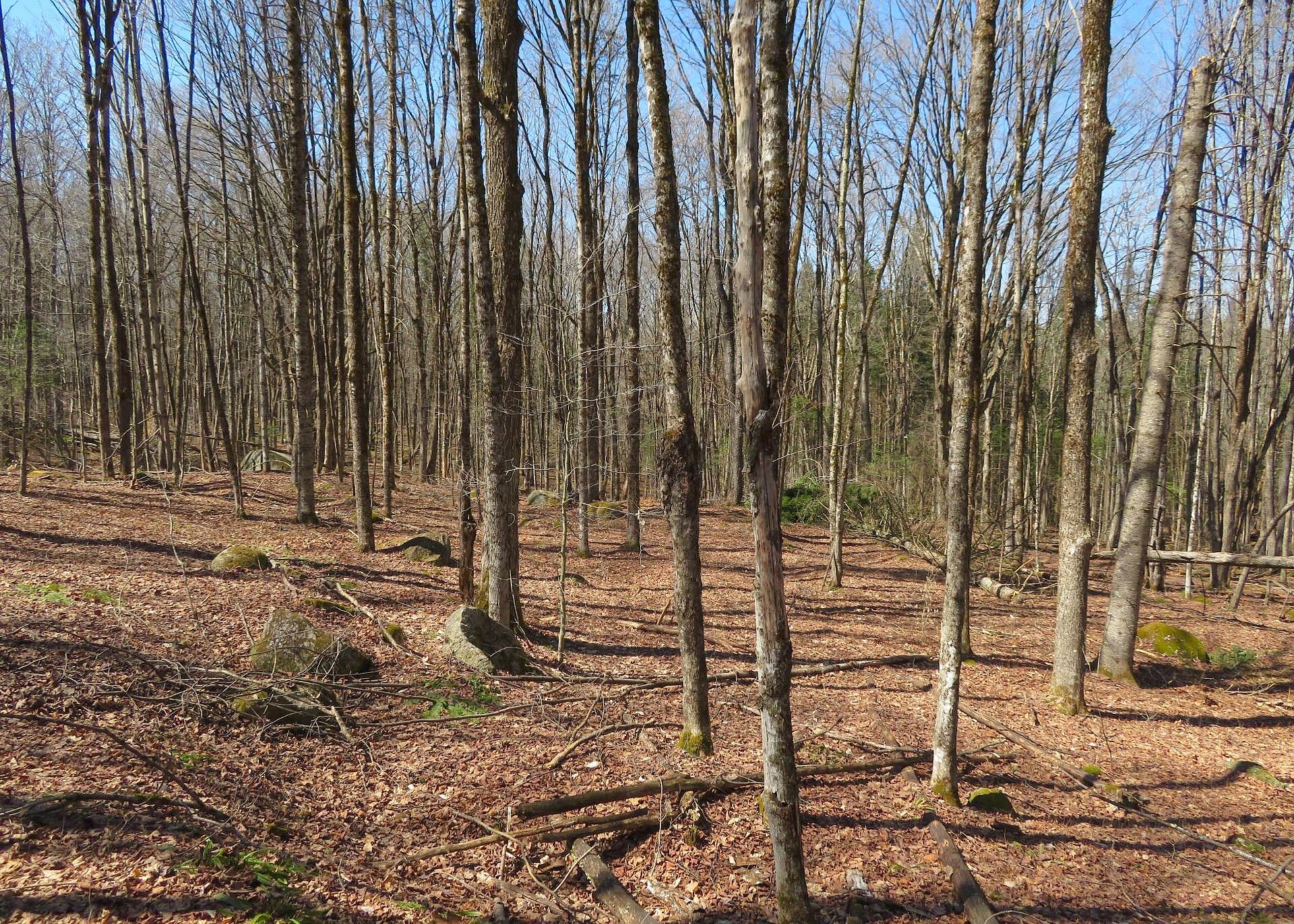 0 Culver Brook Rd - Lots 7 8  