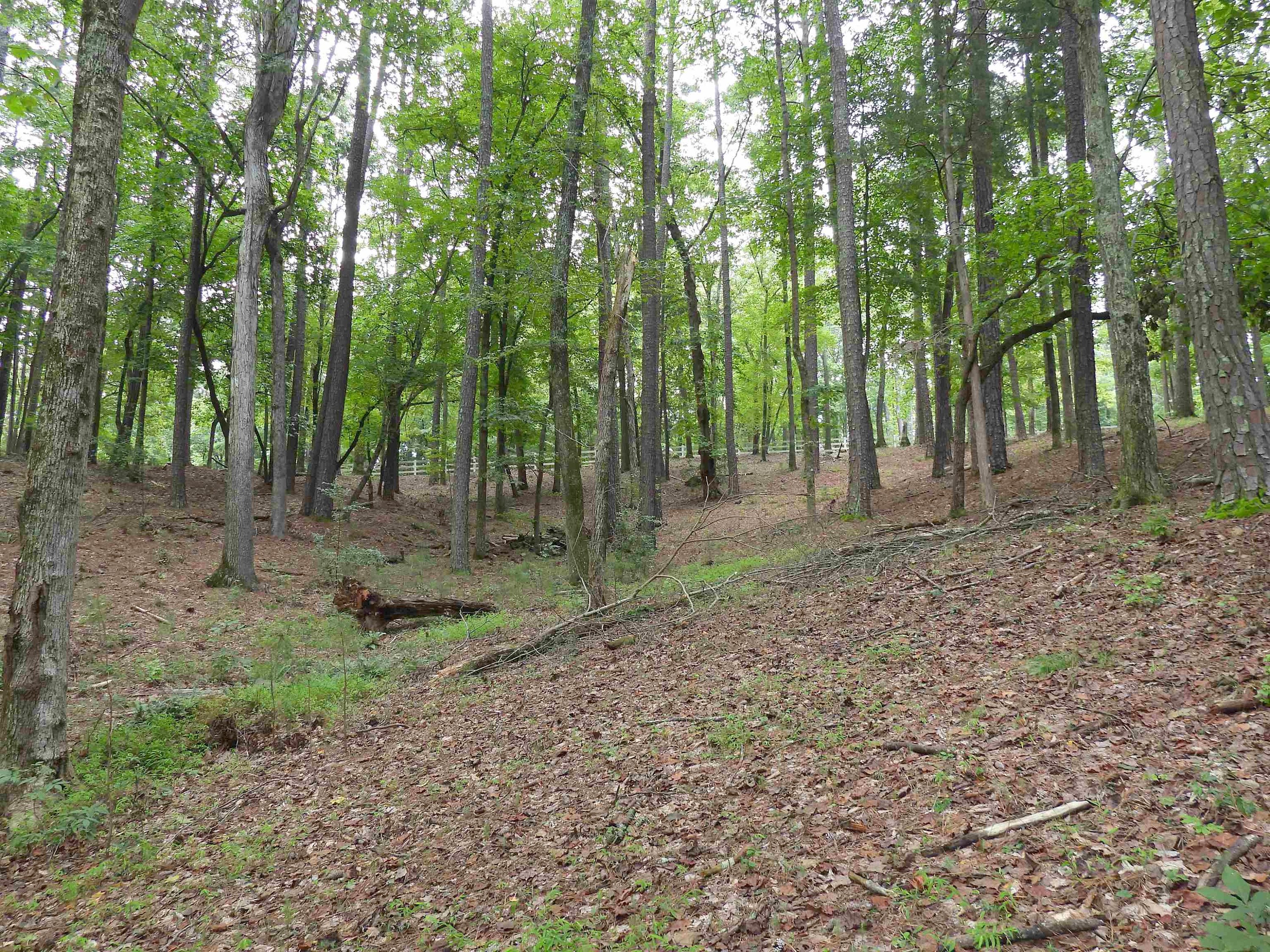 639 HILLS OF THE HAW  