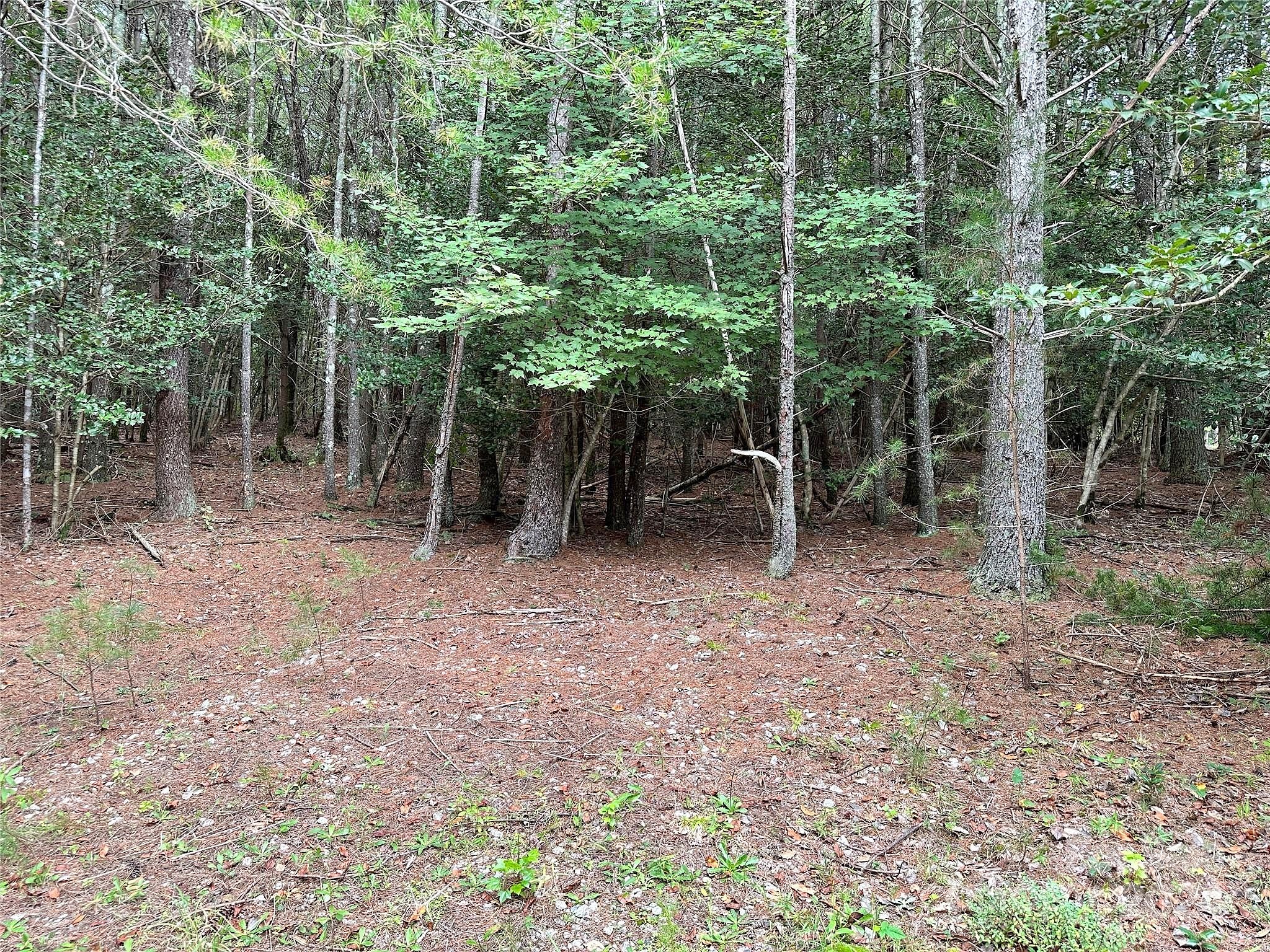 2177 COTTAGE Park RD  