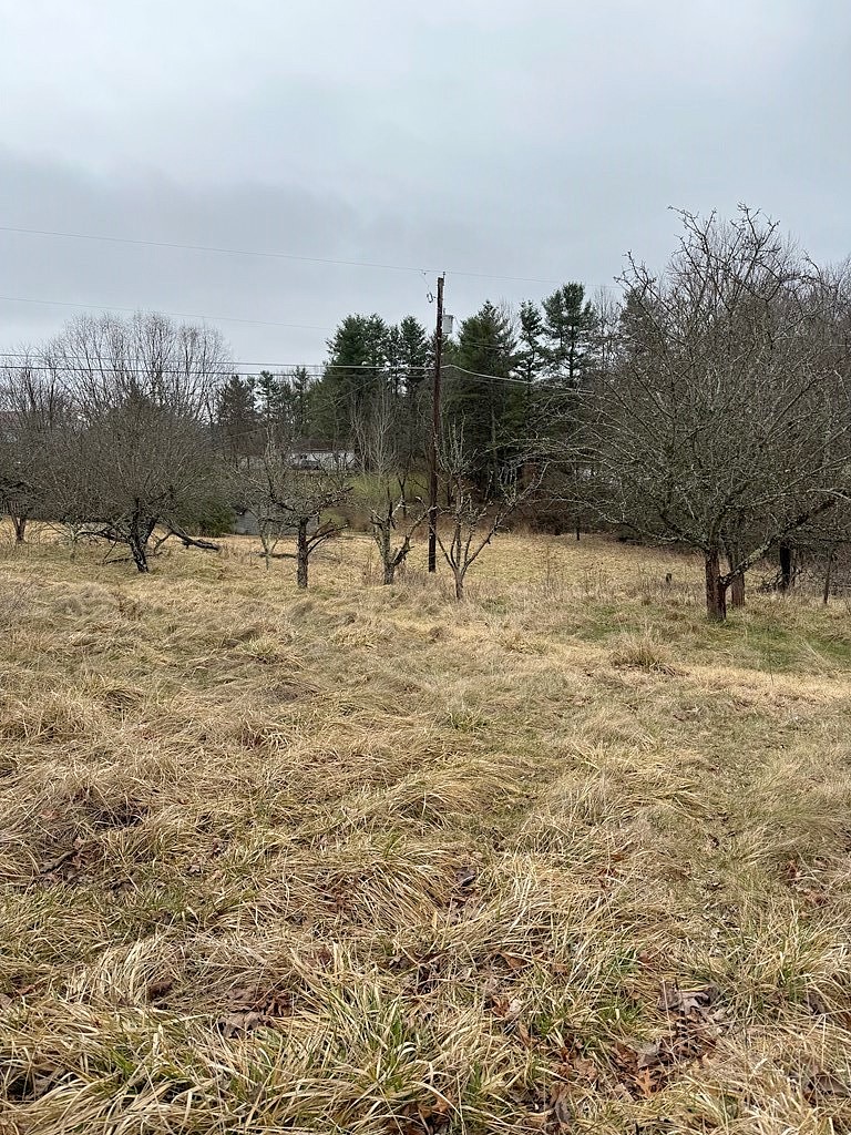 1550 REESE HARMON Rdg RD  