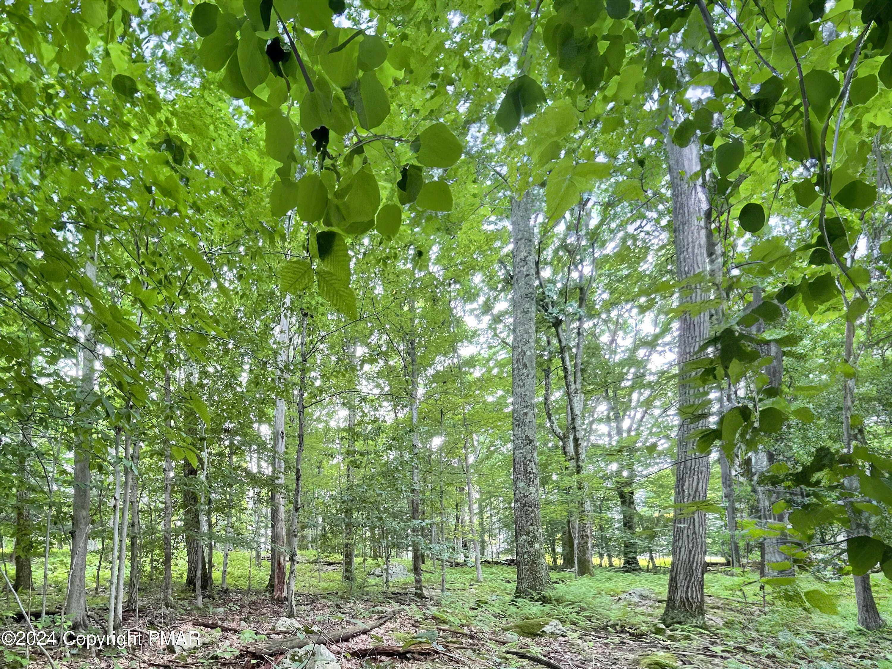 SKYLINE Lot 64 Dr  